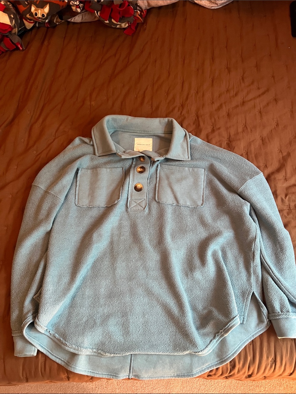 American Eagle Outfitters Light Blue Crewneck Pullover
